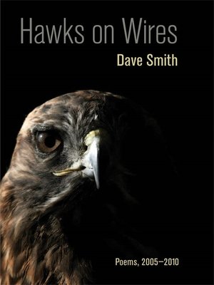 cover image of Hawks on Wires